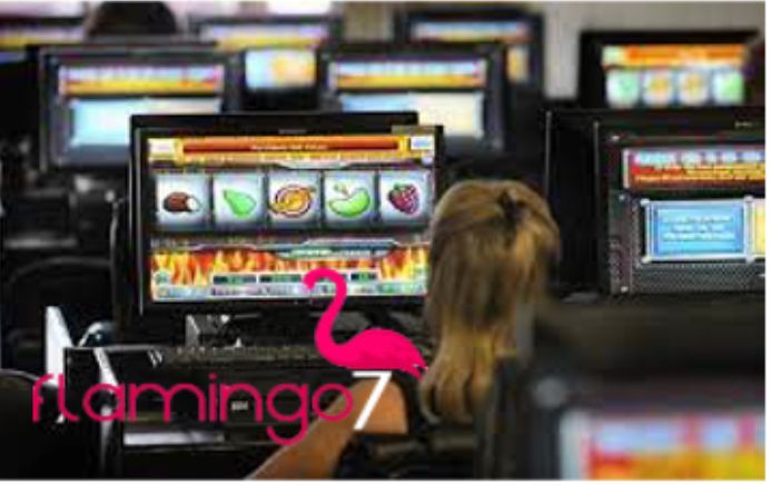 internet cafe sweepstakes games online