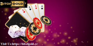 online casino software