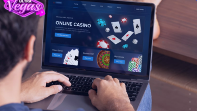 Online casino software insights