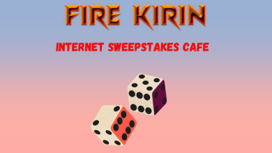 internet sweepstakes cafe