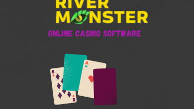 online casino software