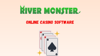 Online casino software